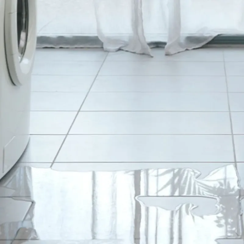 Appliance Leak Cleanup in Saint Rose, LA