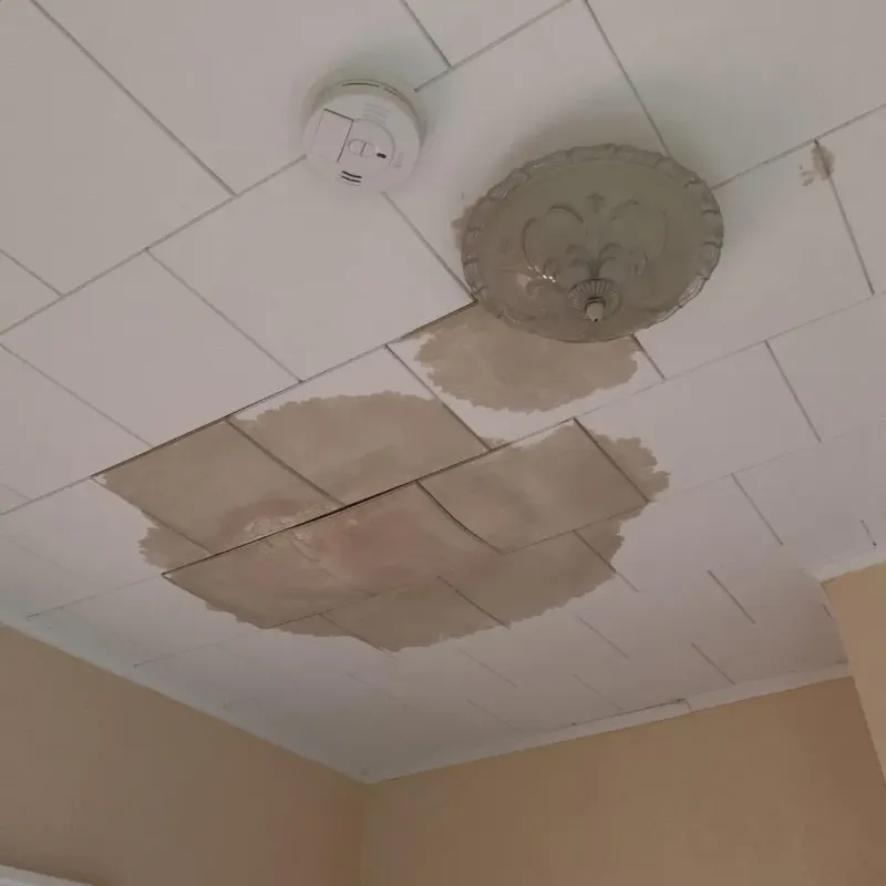 Ceiling Water Damage Repair in Saint Rose, LA