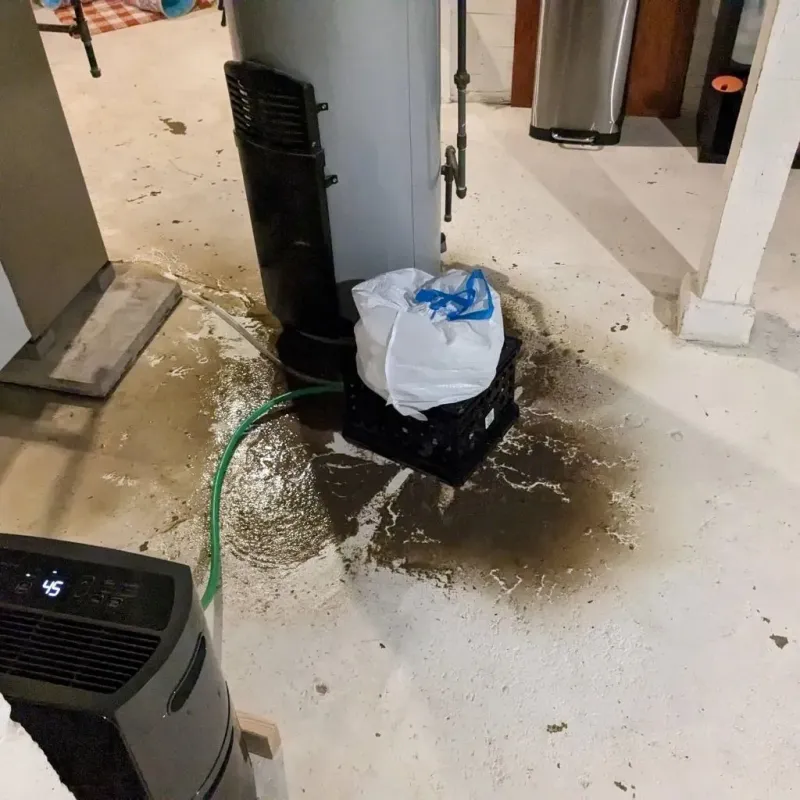 Sewage Backup Cleanup Service in Saint Rose, LA